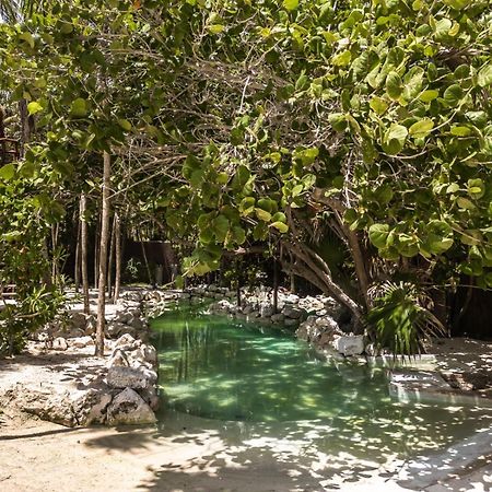 Niken Beachfront Tulum Hotel Екстер'єр фото