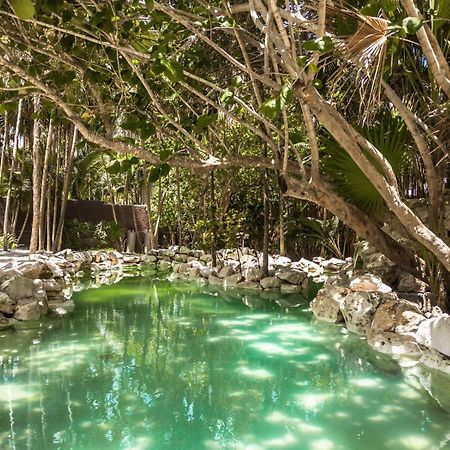 Niken Beachfront Tulum Hotel Екстер'єр фото