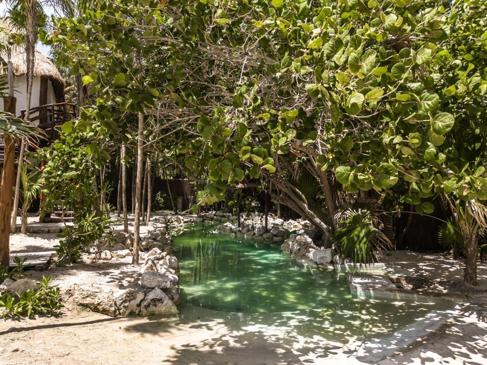Niken Beachfront Tulum Hotel Екстер'єр фото