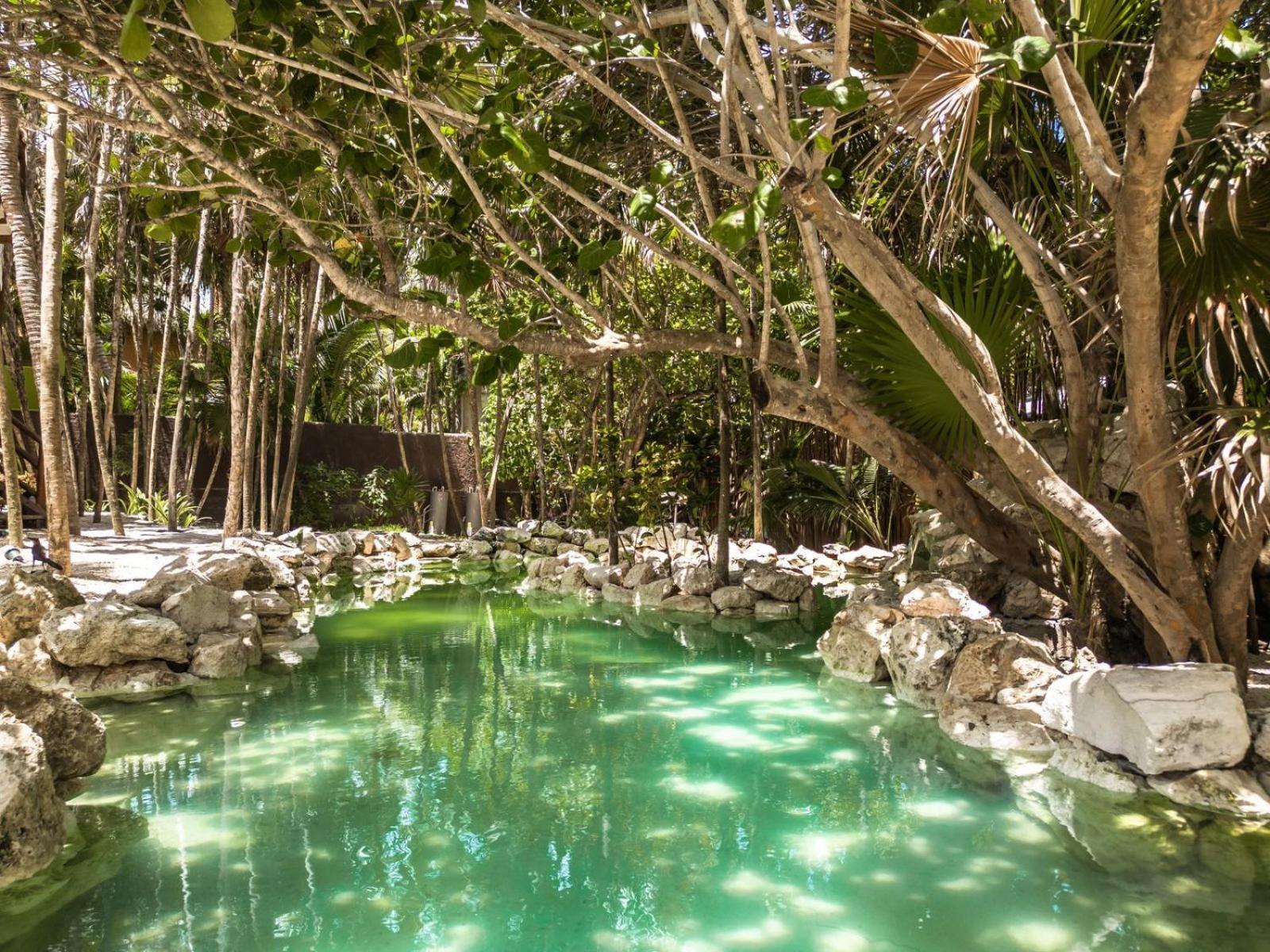 Niken Beachfront Tulum Hotel Екстер'єр фото